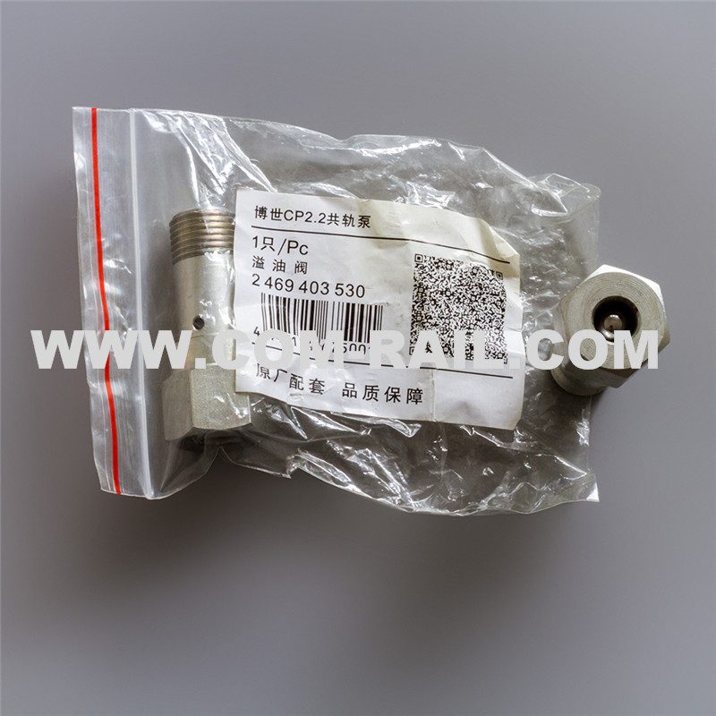 Best 2469403530 overflow valve Manufacturer and Factory | Common