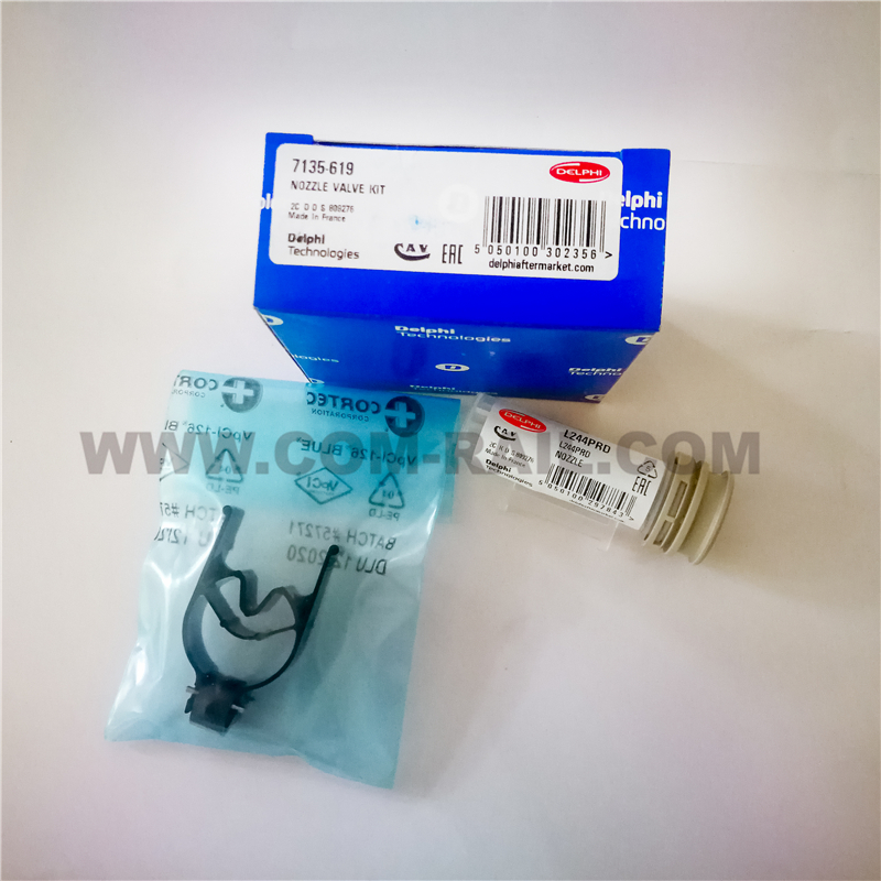Best DELPHI original fuel injector repair kit 7135-619 for