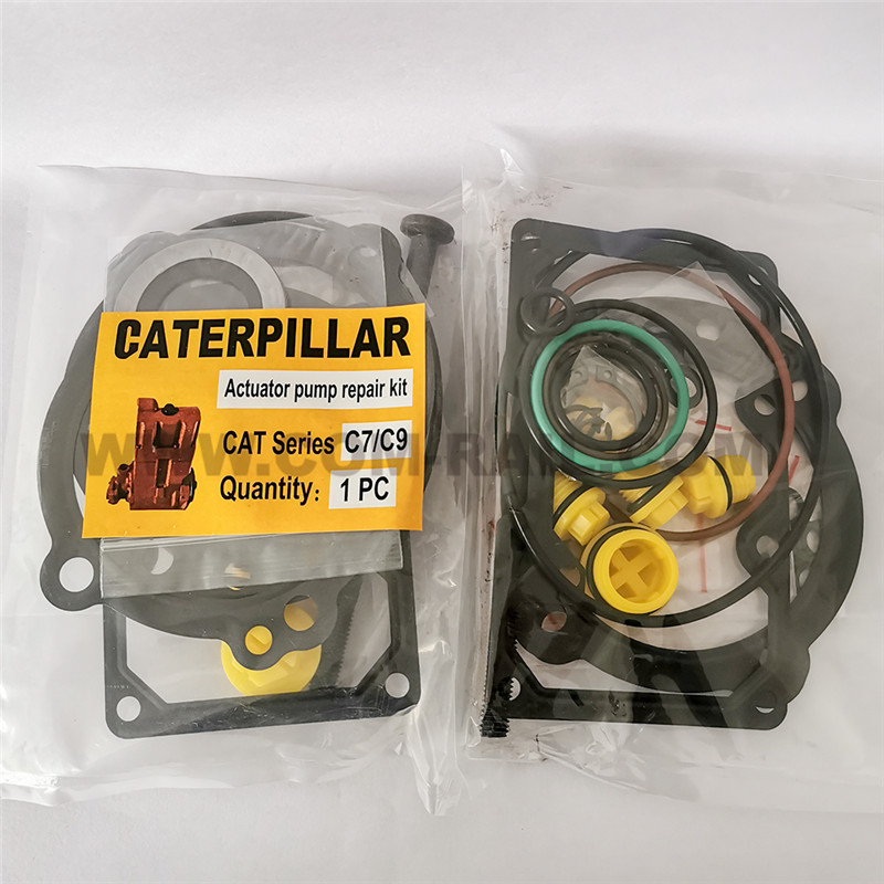 Sorgichda fallus bilan jinsiy aloqa video